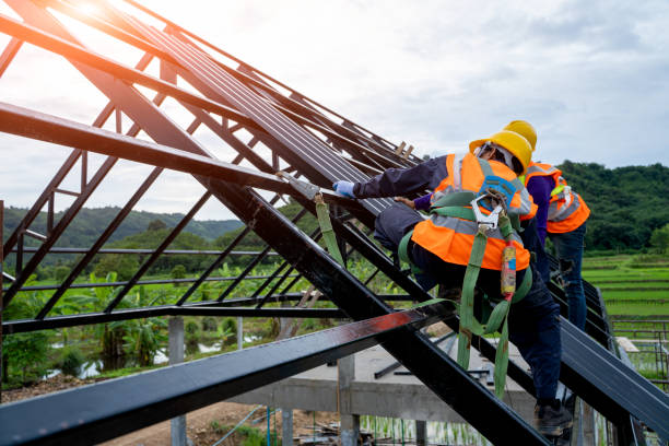 Best Roof Gutter Cleaning  in Highlands, NC